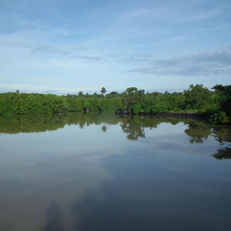 فيلا Coconut Island تانجالي المظهر الخارجي الصورة