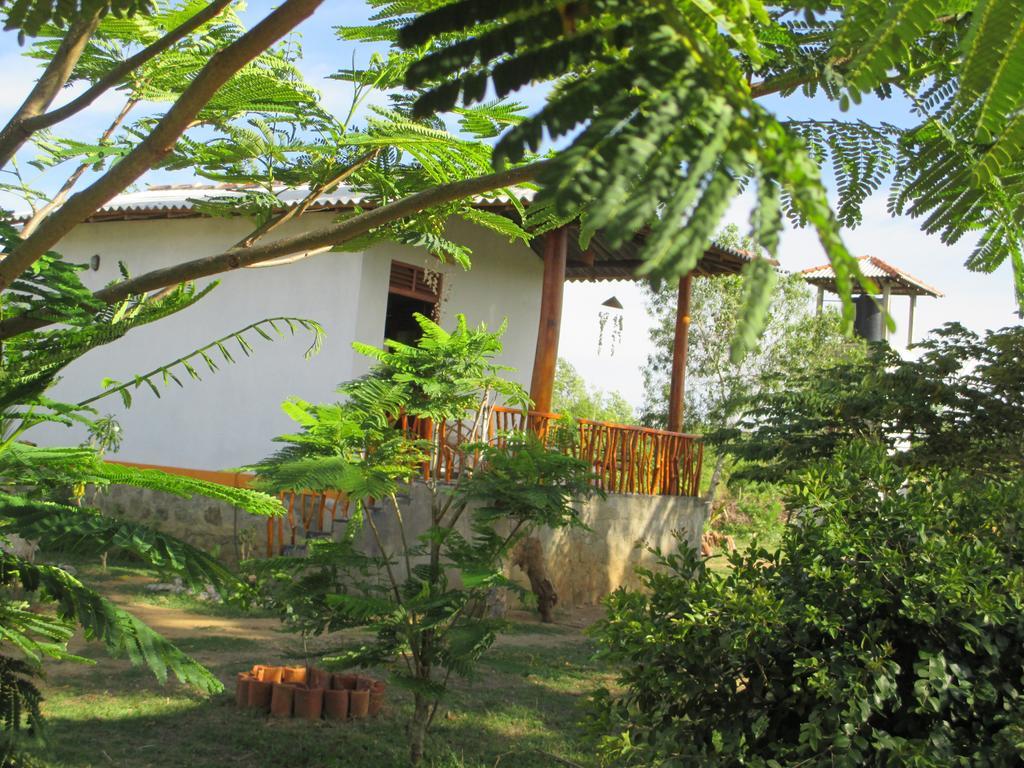 فيلا Coconut Island تانجالي المظهر الخارجي الصورة
