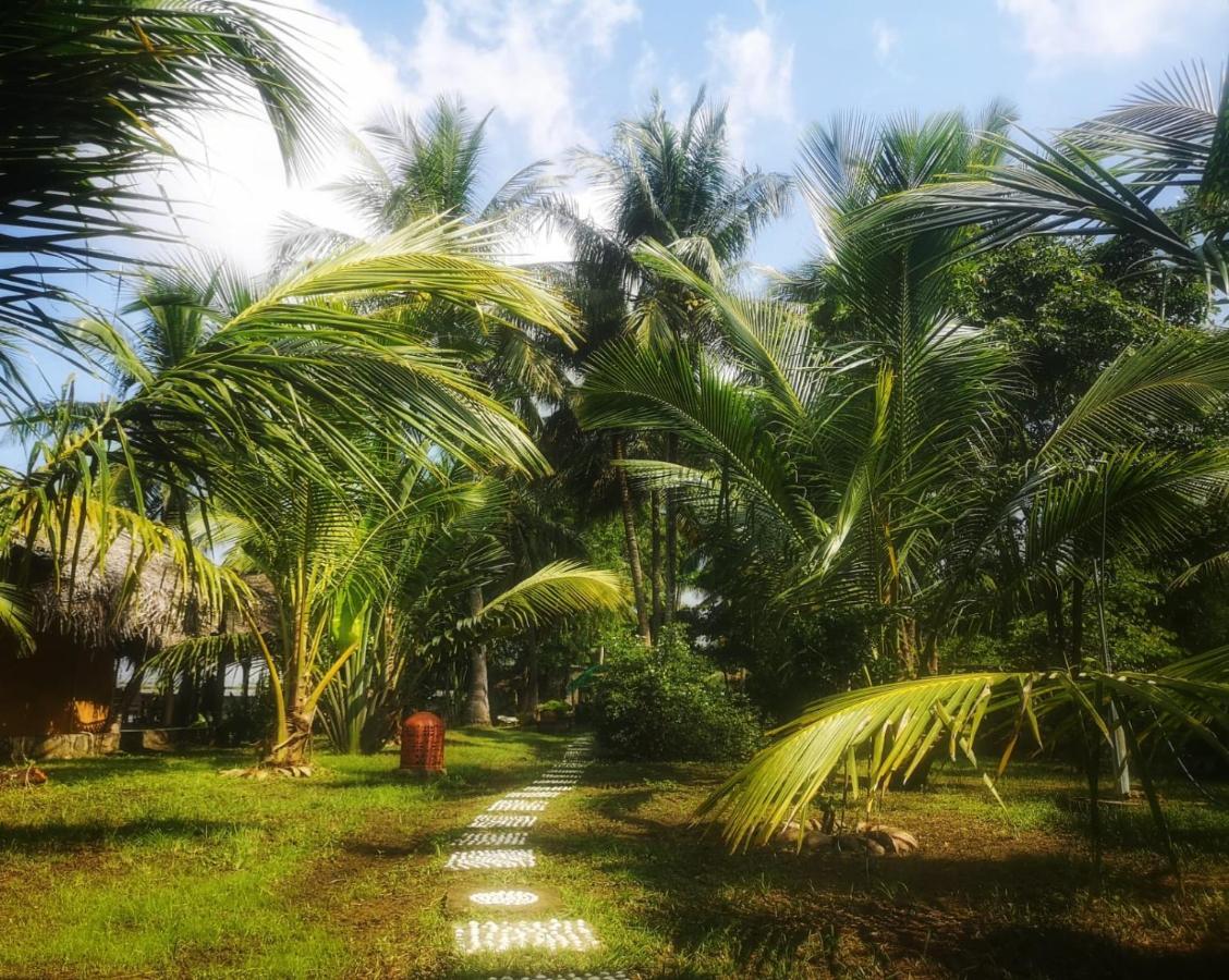 فيلا Coconut Island تانجالي المظهر الخارجي الصورة