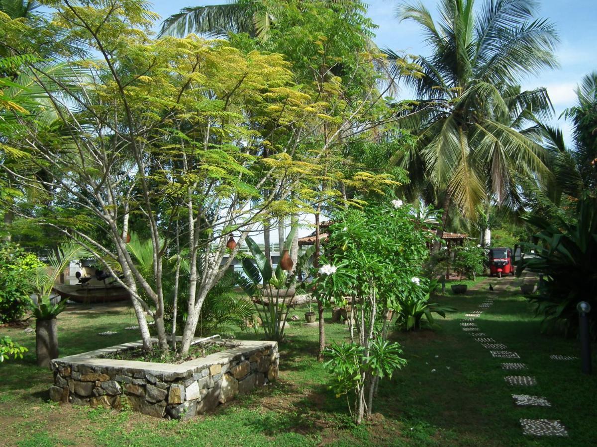 فيلا Coconut Island تانجالي المظهر الخارجي الصورة