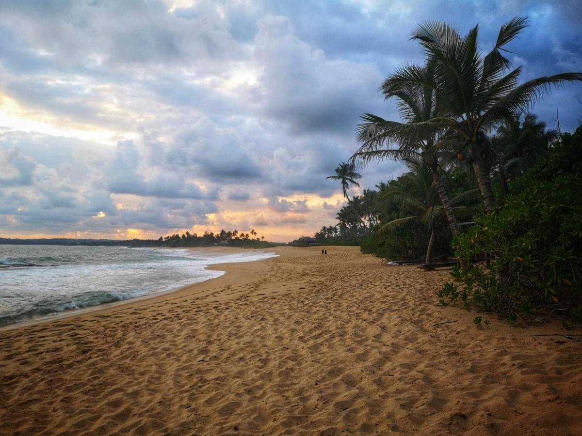 فيلا Coconut Island تانجالي المظهر الخارجي الصورة