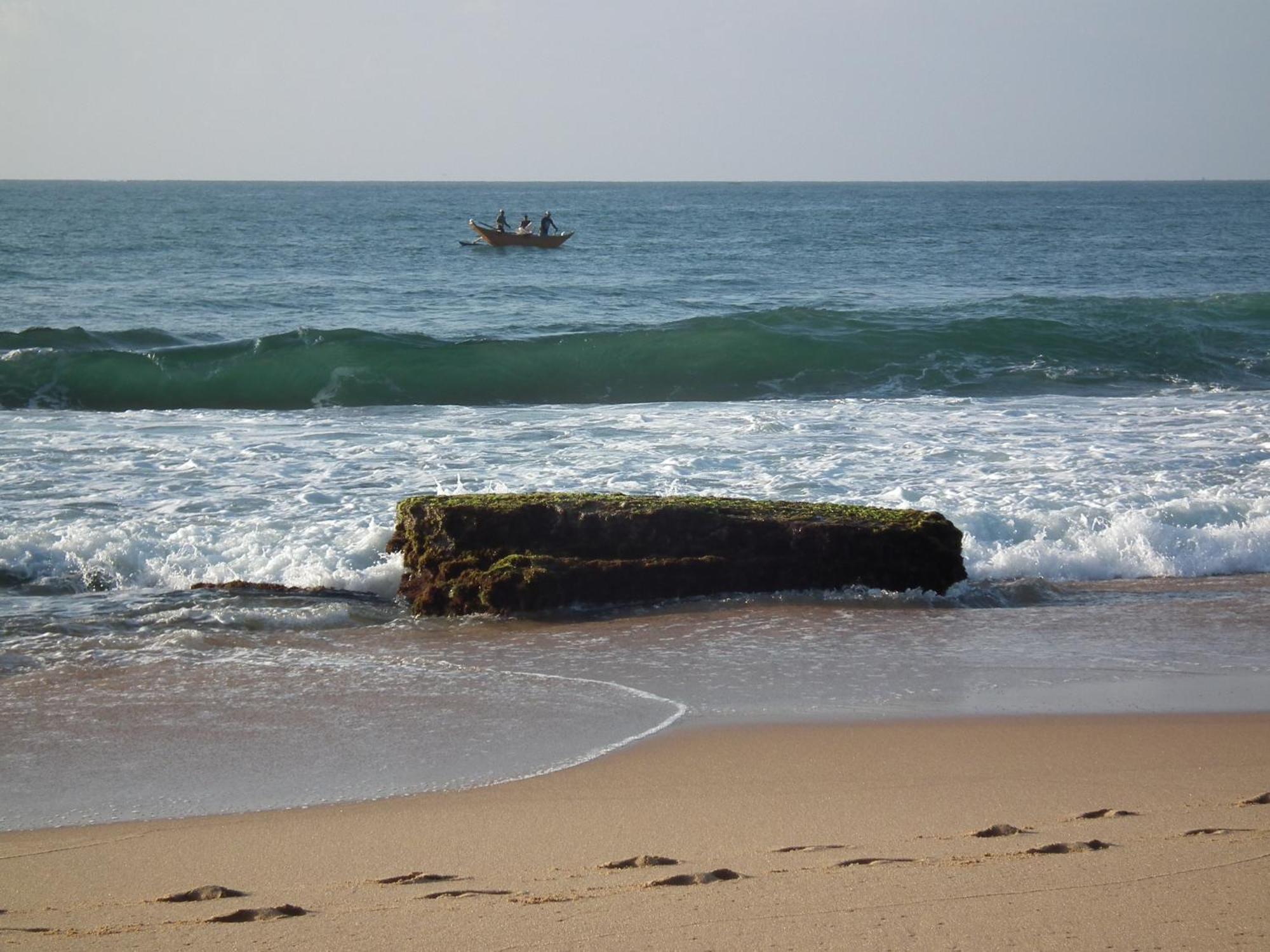 فيلا Coconut Island تانجالي المظهر الخارجي الصورة