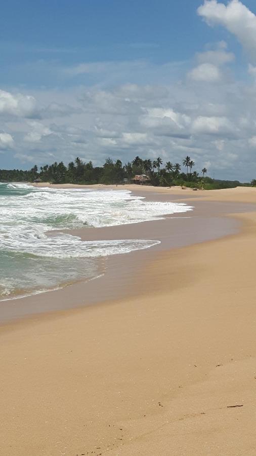 فيلا Coconut Island تانجالي المظهر الخارجي الصورة
