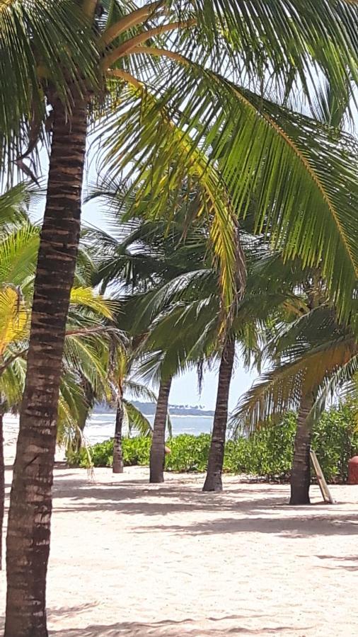 فيلا Coconut Island تانجالي المظهر الخارجي الصورة