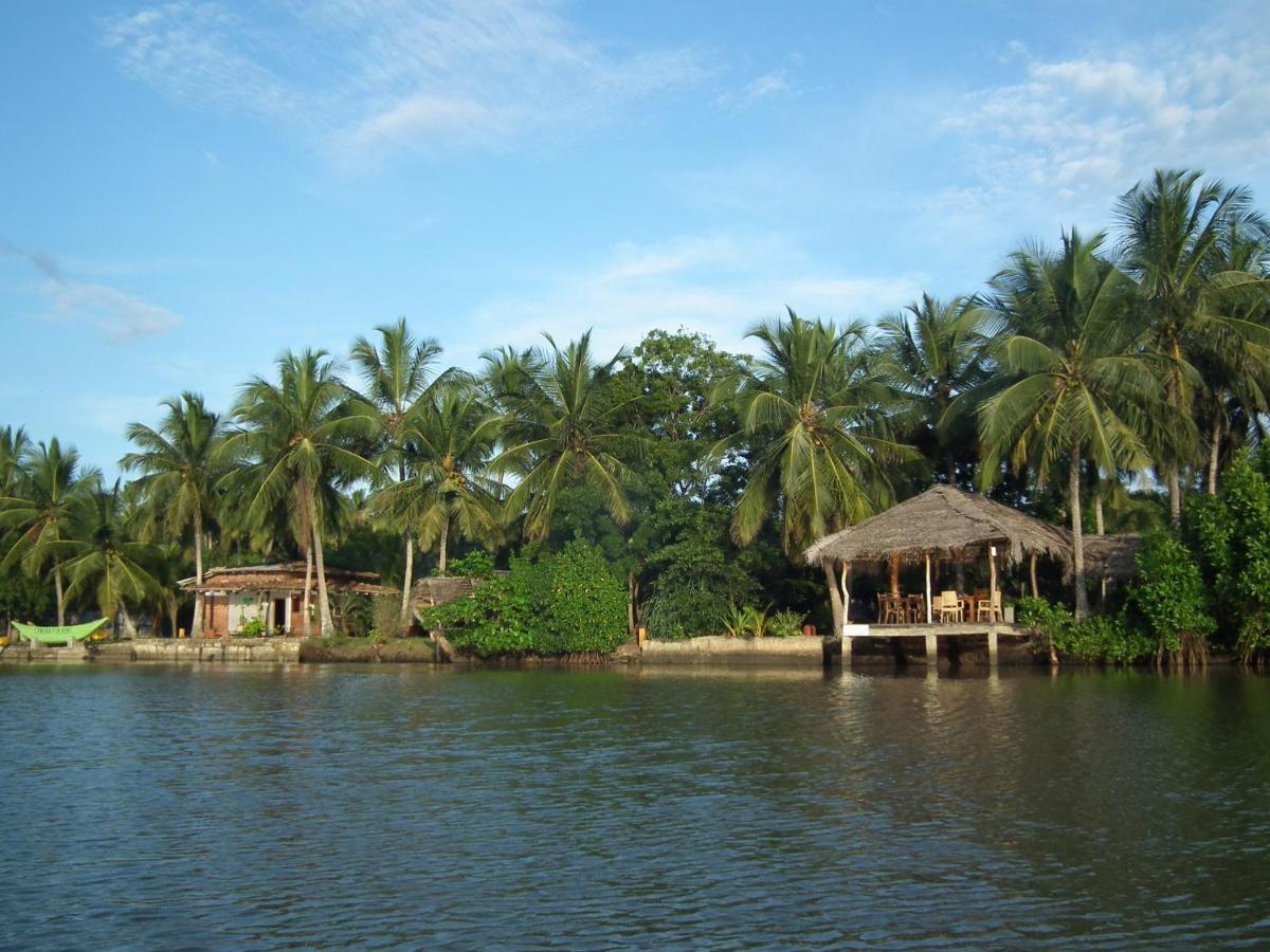 فيلا Coconut Island تانجالي المظهر الخارجي الصورة