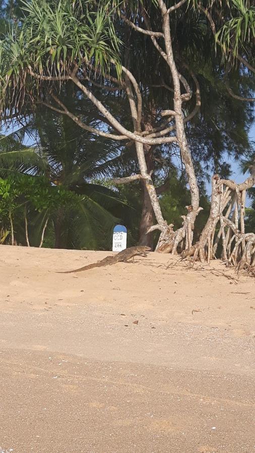 فيلا Coconut Island تانجالي المظهر الخارجي الصورة