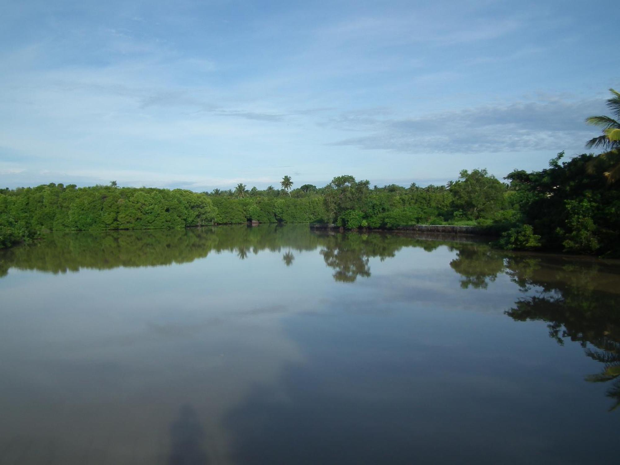 فيلا Coconut Island تانجالي المظهر الخارجي الصورة