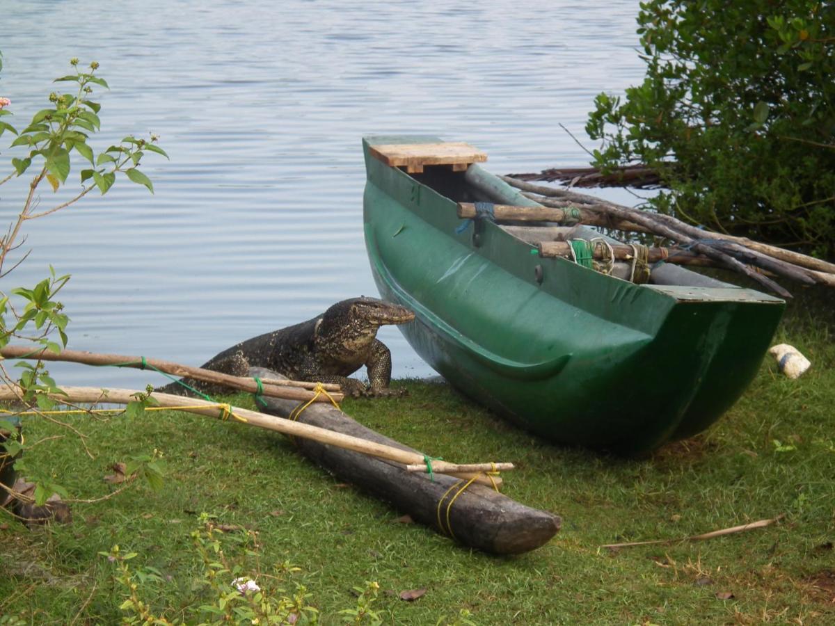 فيلا Coconut Island تانجالي المظهر الخارجي الصورة